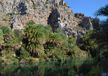 Photo kreta_palmenstrand_von preveli